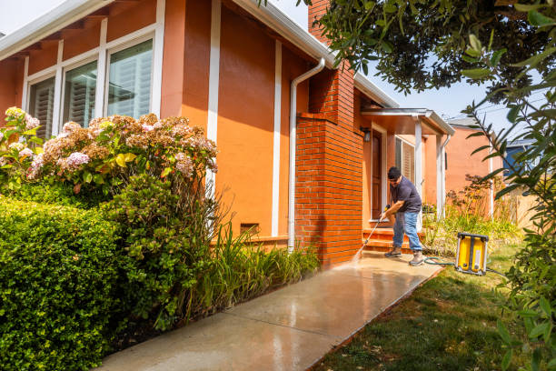 Best Power Washing Near Me  in Wanakah, NY