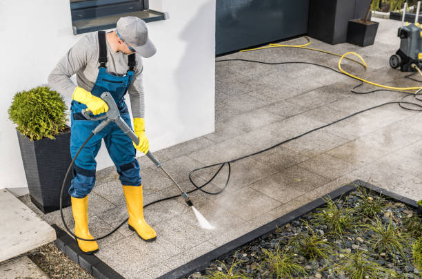 Best House Pressure Washing  in Wanakah, NY